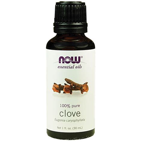 where to buy oil of cloves for mould